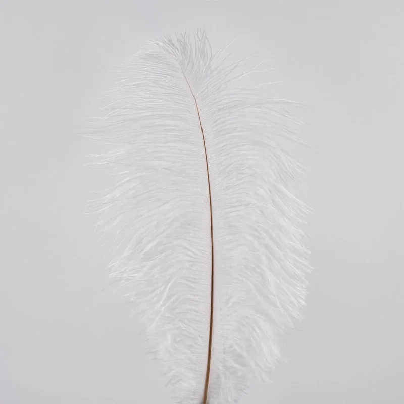 Pene de strut, 50 buc, 20 cm, alb