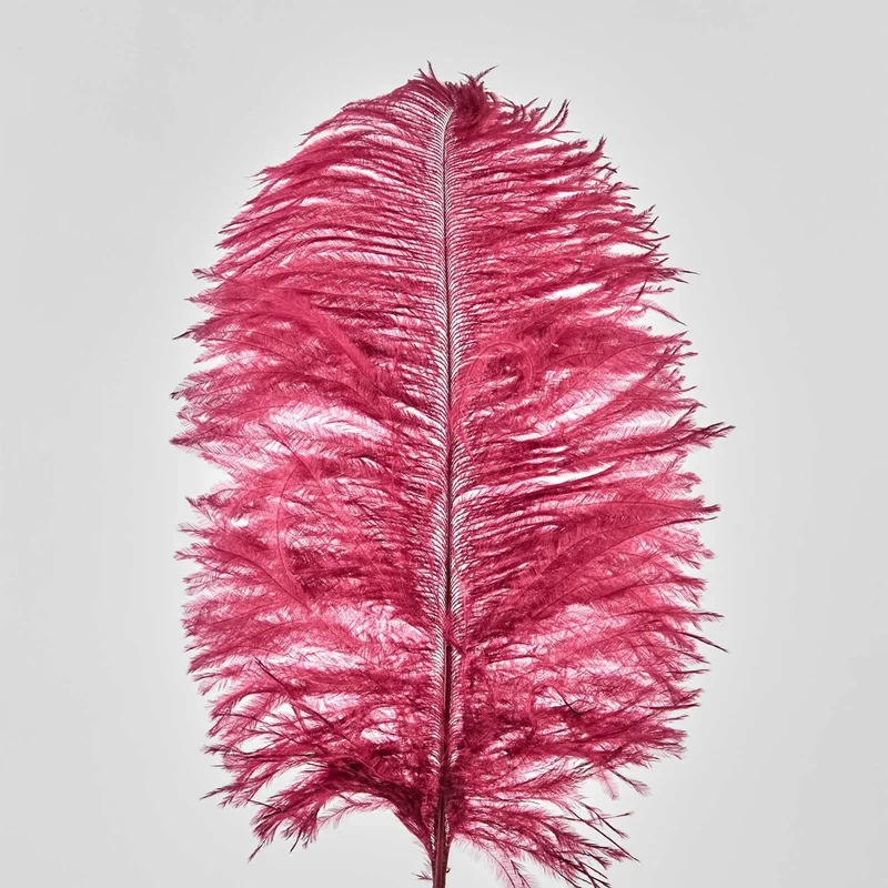 Pene de strut, 50 buc, 30 cm, rosu