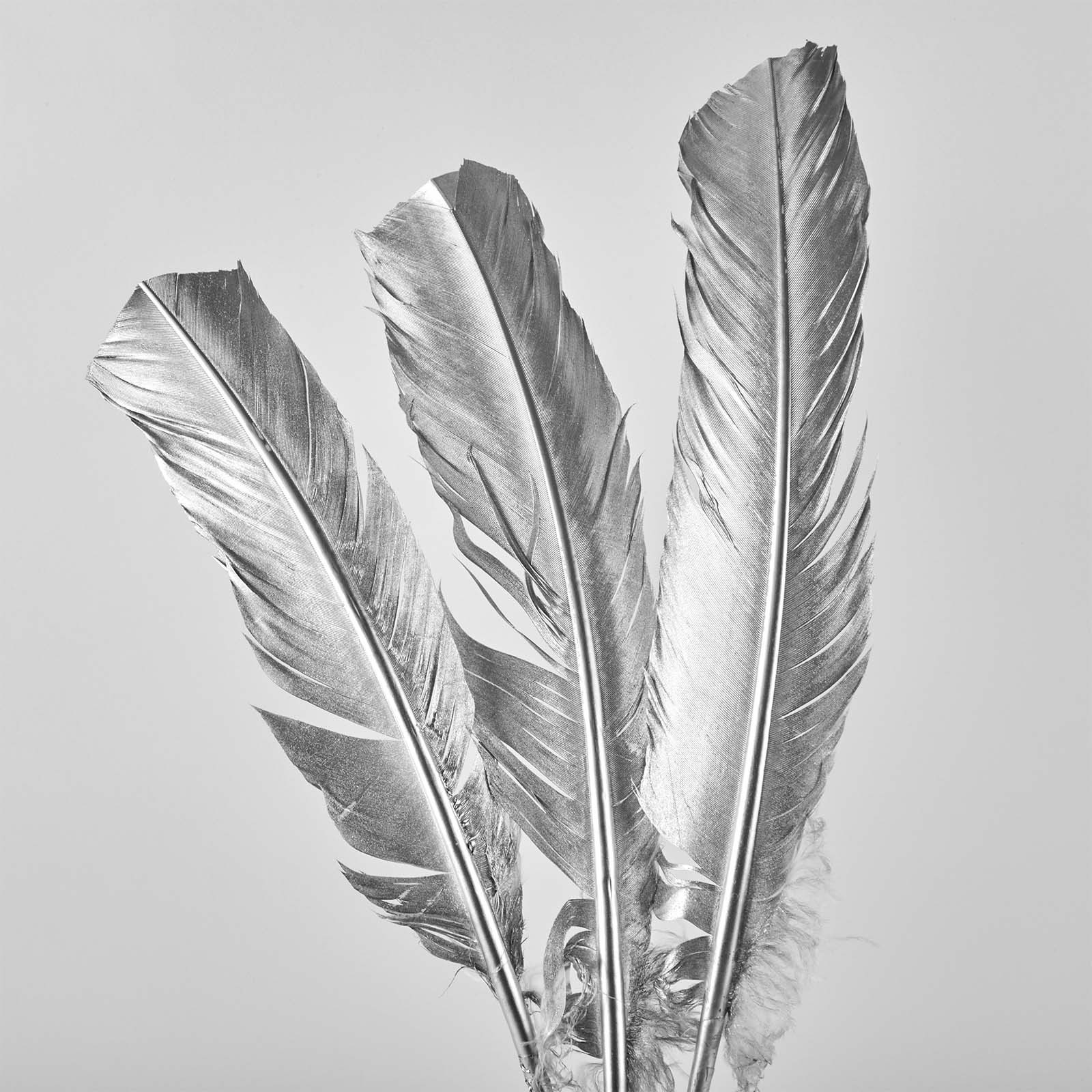 Pachet 3 pene argintii, 30 cm